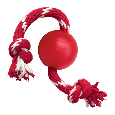 KONG PUPPY Ball W/ROPE